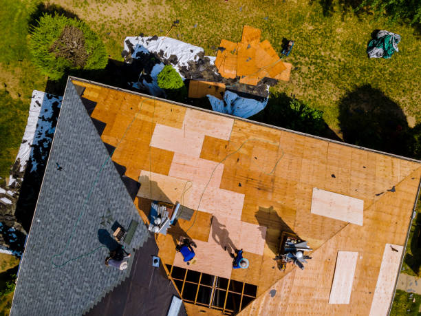 Best Metal Roofing Contractor  in Nokesville, VA