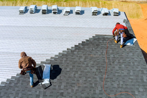 Best Roof Restoration Services  in Nokesville, VA