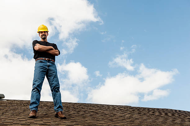 Best Roof Gutter Cleaning  in Nokesville, VA